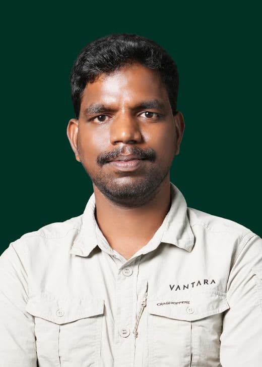 Dr S. Sivaprakash - Animal Care Team at Vantara